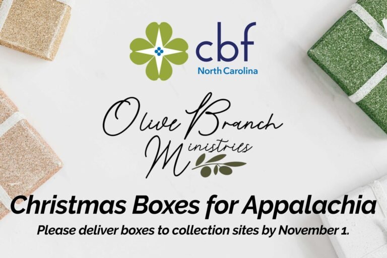 Olive_Branch_Christmas_Boxes